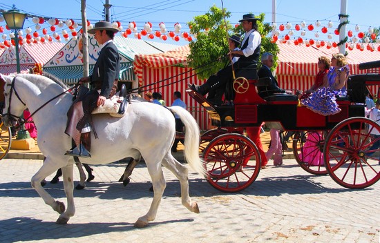 jerez de la frontera feria del caballo