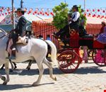 jerez de la frontera feria del caballo jerez de la frontera feria del caballo
