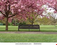 london park