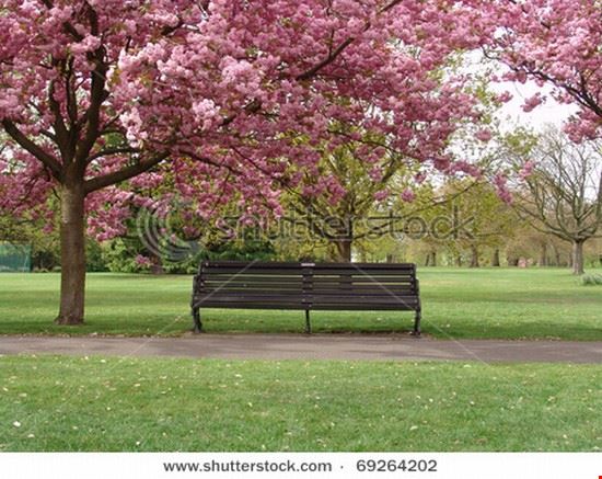 Greenwich Park