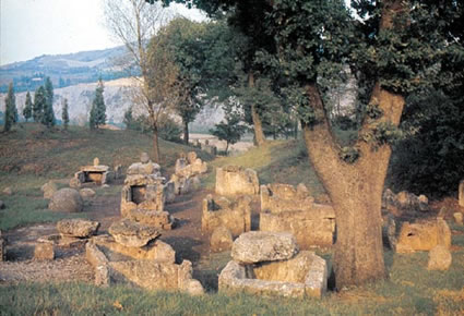 Necropoli etrusca di "Misa"