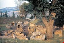 Necropoli etrusca di "Misa"