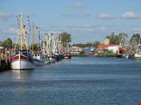 buesum buesumer hafen