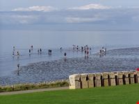 buesum watt in buesum
