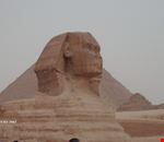 la sfinge il cairo la sfinge il cairo