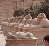 luxor luxor