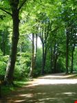 copenhagen faelledparken