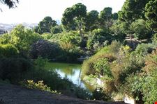 cagliari monte urpinu park