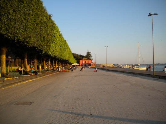 Foro V. Emanuele II