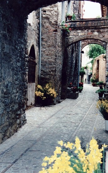 Archi