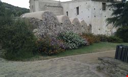 Particolare del parco.