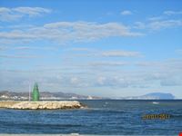 mare