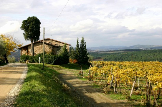 Alla Scoperta del Chianti
