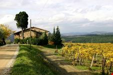 Alla Scoperta del Chianti