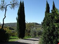 Alla Scoperta del Chianti