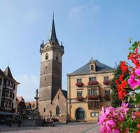 obernai obernai obernai obernai