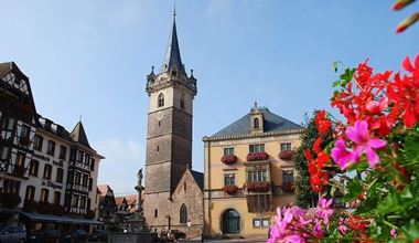 obernai obernai obernai obernai