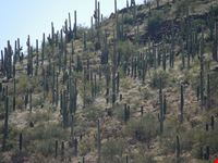 Sentinel Peak Park