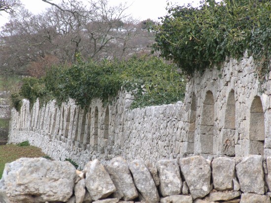 Yazzo Masseria Pietro Gioia