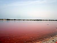 dakar rose lake malika