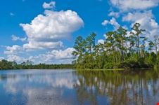 daytona beach tiger bay state forest