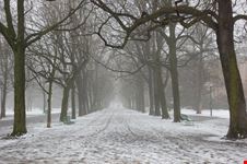 Il Parco dei Bastioni innevato