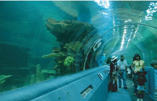 Chiang Mai Zoo e Acquario