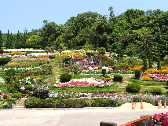 Parco Nazionale Doi Inthanon