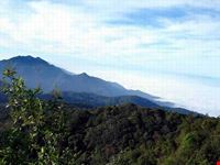 Parco Nazionale Doi Inthanon