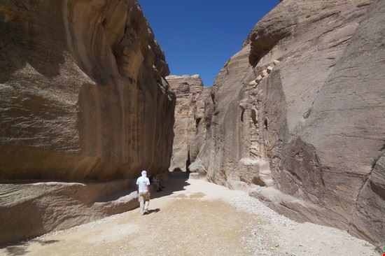  Petra  