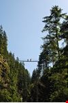 schladming haengebruecke in freier natur