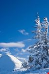 schladming schladming in weiss