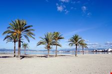 palma de mallorca zeitig am strand von palma de mallorca