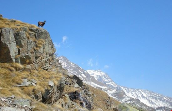 Parco nazionale del Gran Paradiso