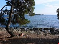 porec plava laguna