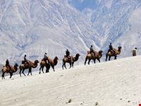 sharm el sheikh camel riding