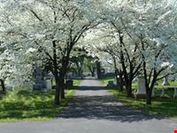 nashville nashville city cemetery