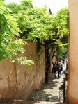 nerja farbenfest in nerja