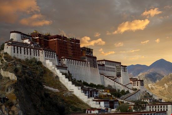 Lhasa Lhasa www.shutterstock.com 