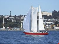 auckland segelsport in auckland