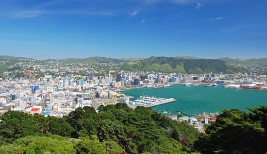  Wellington Jiri Foltyn - www.shutterstock.com Jiri Foltyn