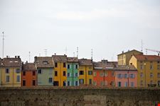 parma buntbelebtes parma