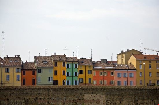 Parma elyn - www.shutterstock.com elyn