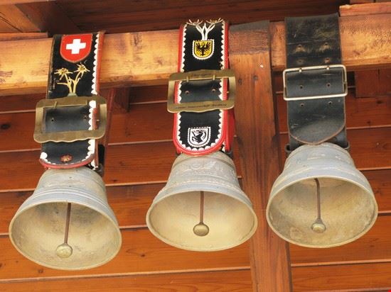 Museo Svizzero delle Alpi