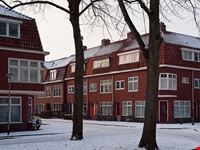amsterdam indische buurt