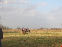 amsterdam de meiden op hun pony en paard in het twiske