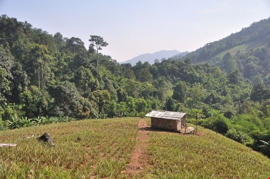  Chiang Mai Apurva Madia - www.shutterstock.com Apurva Madia