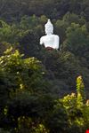 chiang rai buddha-statue in den waeldern von chiang rai