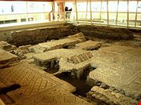 domus del chirurgo rimini
