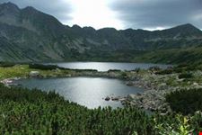 I TATRA